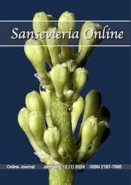 Sanseveria Online