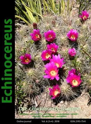 Echinocereus