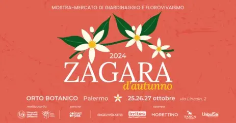 Zagara d'autunno