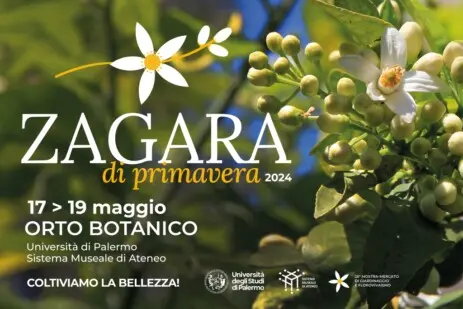 Zagara di primavera